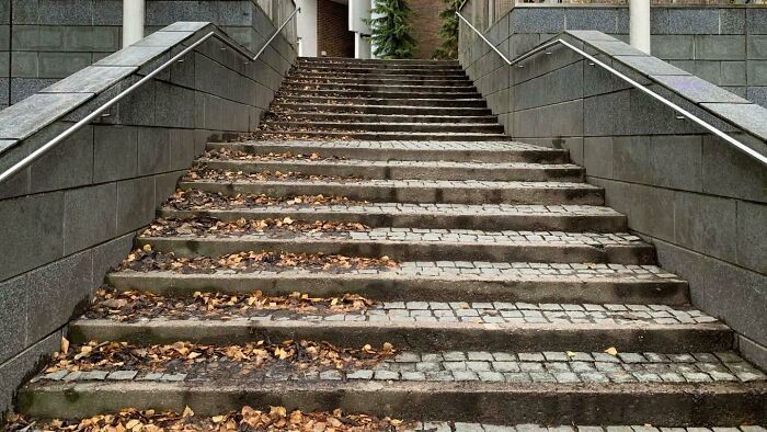 Literal "Not My Job" In Helsinki. Left Part Belongs To One Housing Company And The Right Part To Another. Needless To Say, They Do Not Use The Same Maintenance Firm