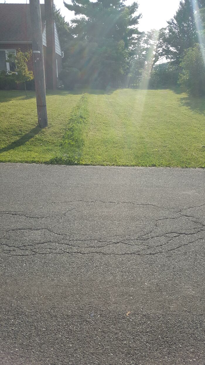 I Mowed My Elderly Neighbors Lawn. The People On The Left Of Her Mowed A Day After. I Guess I Didnt Mow Right To The Property Line. I Officially Hate These People Now