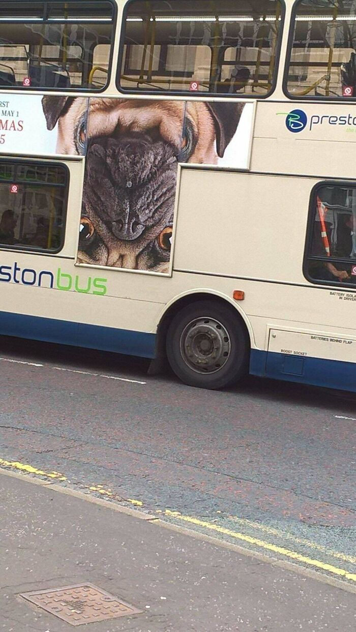 Put The Advert Up Boss