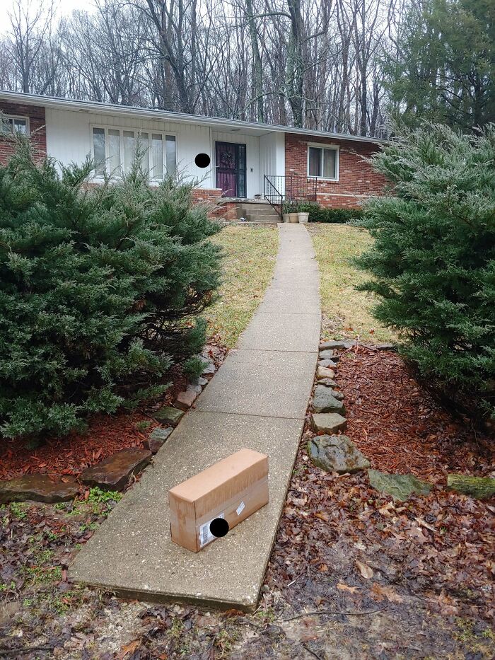 I Think My FedEx Guy Was Having A Bad Day