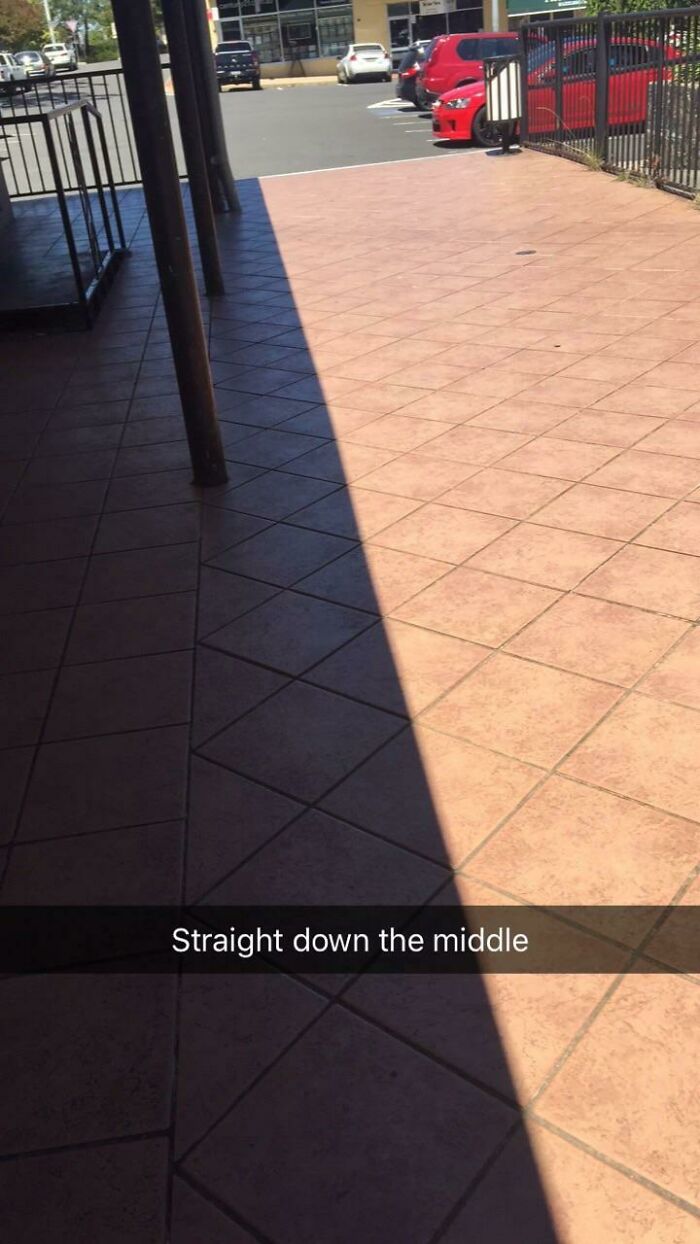 I See Your Shadow, And Raise You This