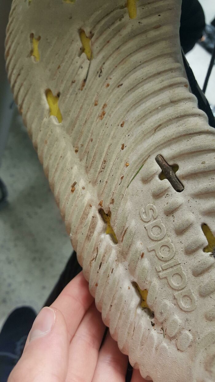 This Stick That I Stepped On