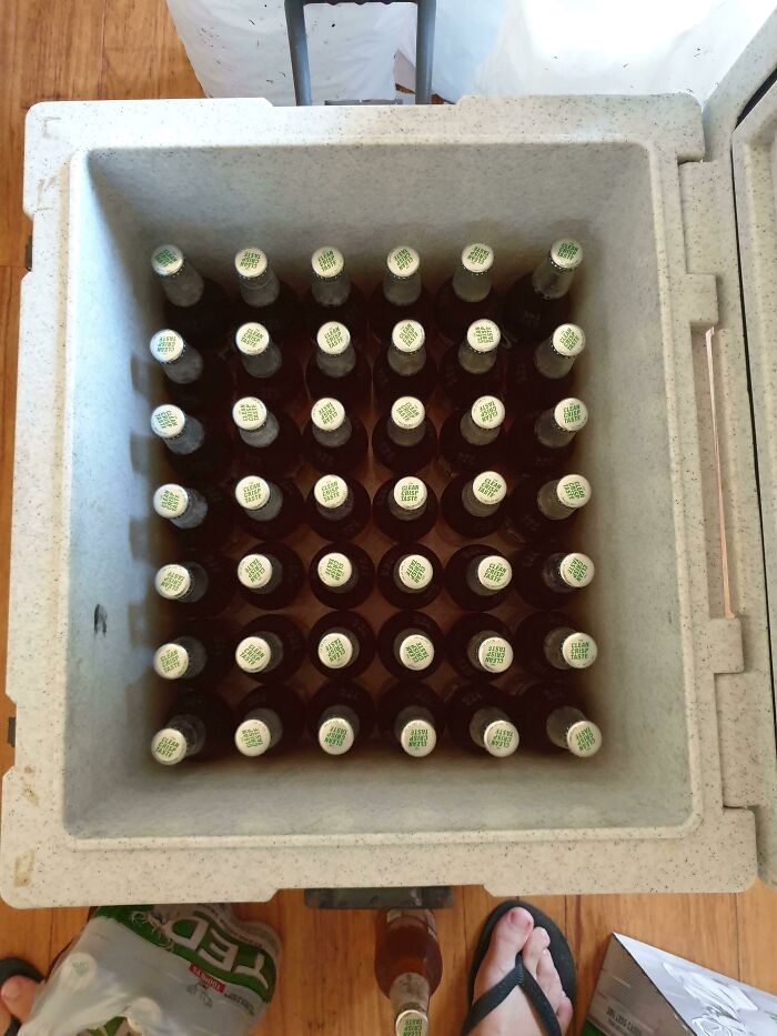 My Fiancé’s New Eskie Perfectly Fits 42 Beers