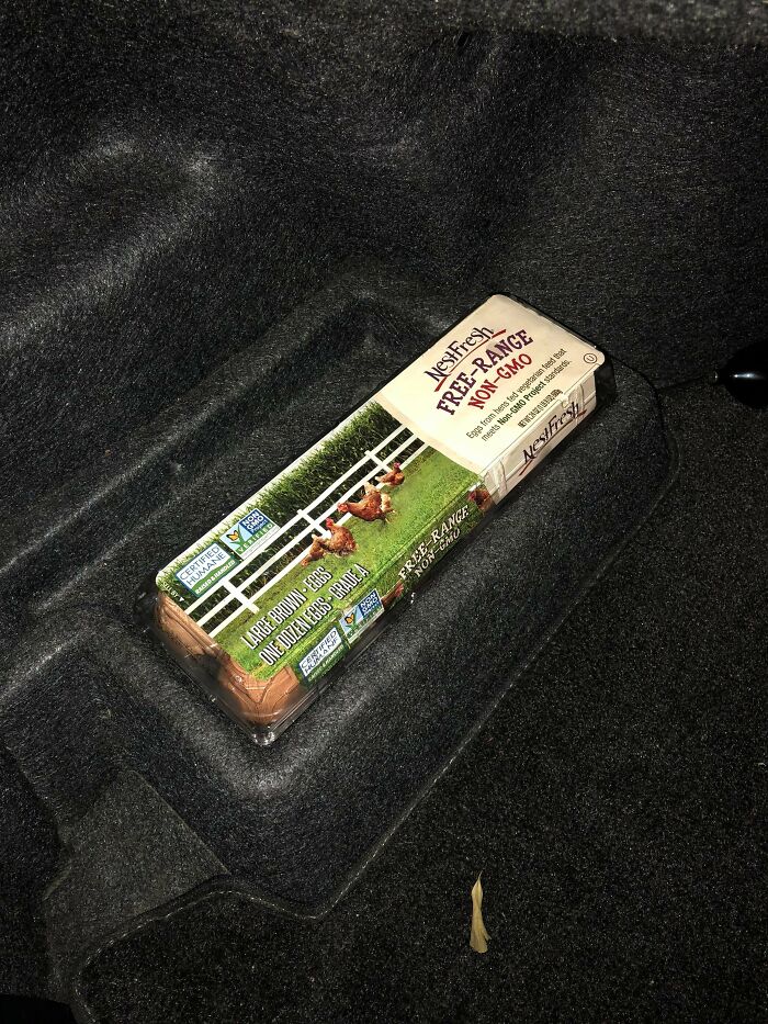 My Car Has An “Egg Holder”. No More Paranoia Driving Home From The Grocery Store