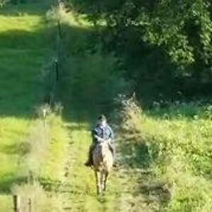 jamesdavidson3_1 avatar