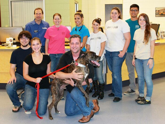 Boozer The Boxer Reunited With His Owners After 9 Years 