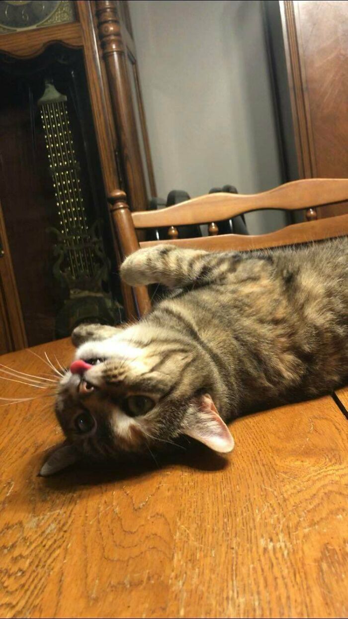 [oc] I Don’t Know, She Seems A Little Broken To Me