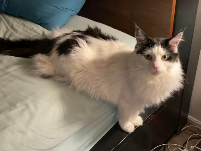 This Is How She Sits On The Bed