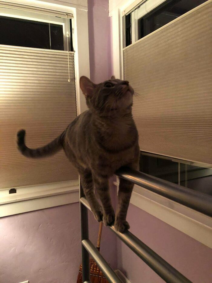 I Suppose That’s One Way To Reach A Bug