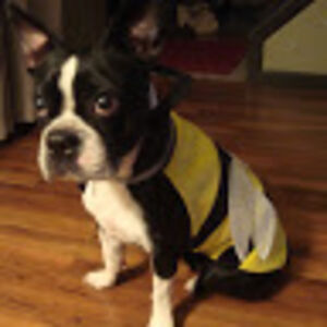 nathanpogorzala avatar