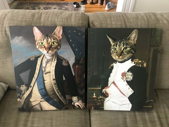 My Early Christmas Gift. And The First Thing I Will See Everyday When I Head Down To The Living Room