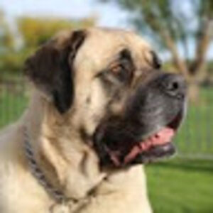 aaliyahmclaughlin avatar