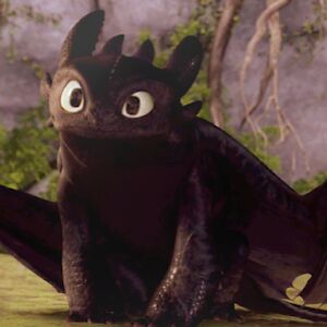 toothlessfeline avatar