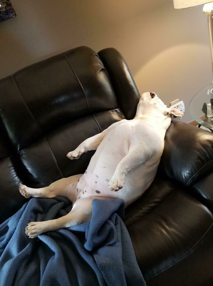 She Ran Away For A Day. This Is Her Back Home Now