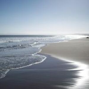 steve_brown_2 avatar