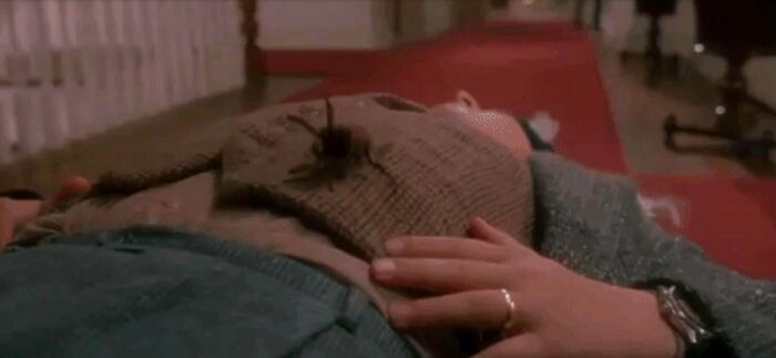 Home Alone. Harry Is Married! When The Tarantula Lands On Him Towards The End Of The Movie A Wedding Ring Is Clearly Visible On His Left Hand