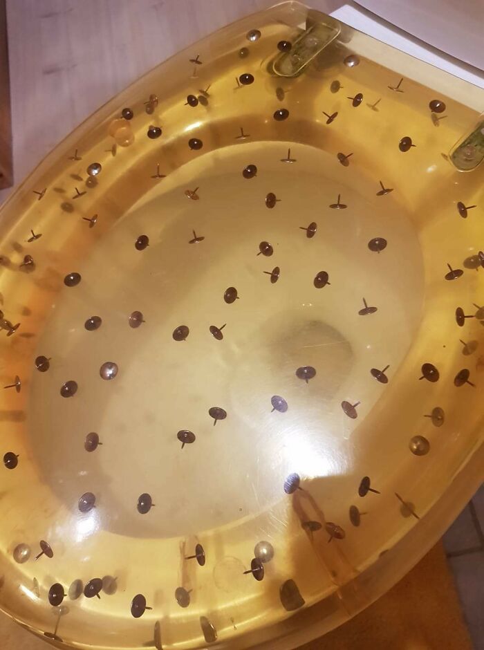 This Horrible Toilet-Seat...