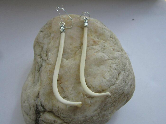 Earrings Made From Raccoon Penis Bones...