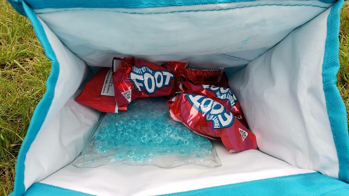 I Volunteered At My 9-Year-Old Son's Day Camp Today. I Asked Him To Pack Us A Lunch. I Regret Not Checking What He Had Packed Before We Left