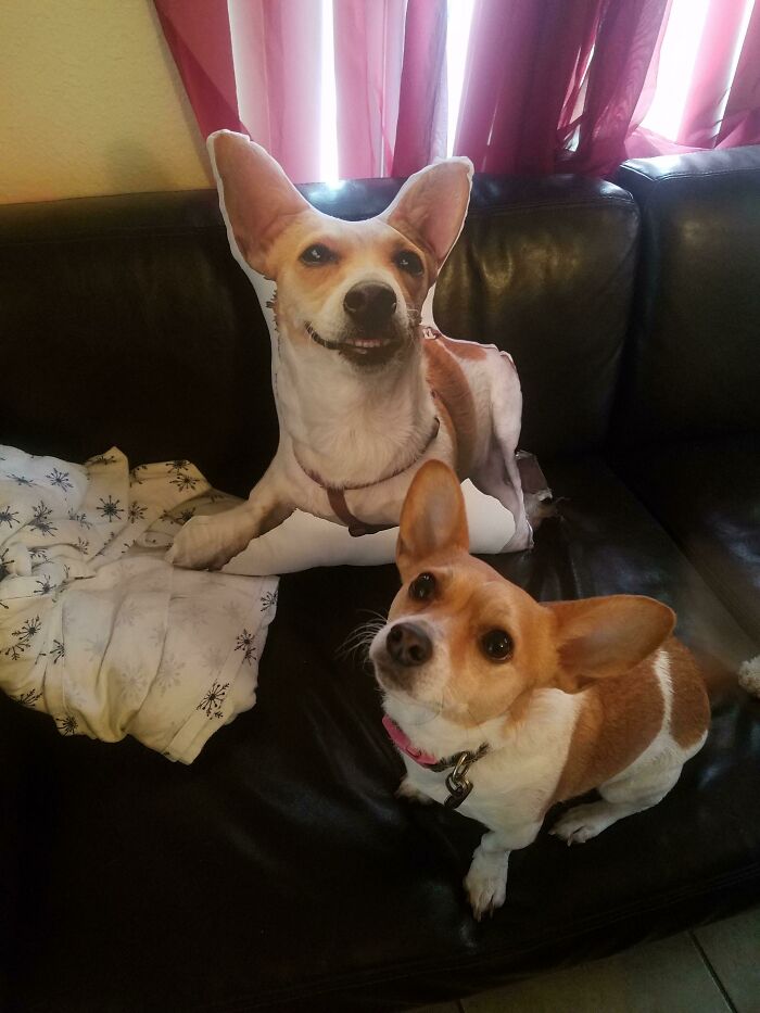 My Secret Santa Gift Made Me Cry