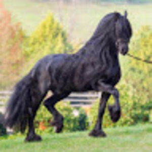 sophiagriffin avatar