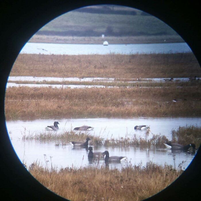 False-Colour Jupiter