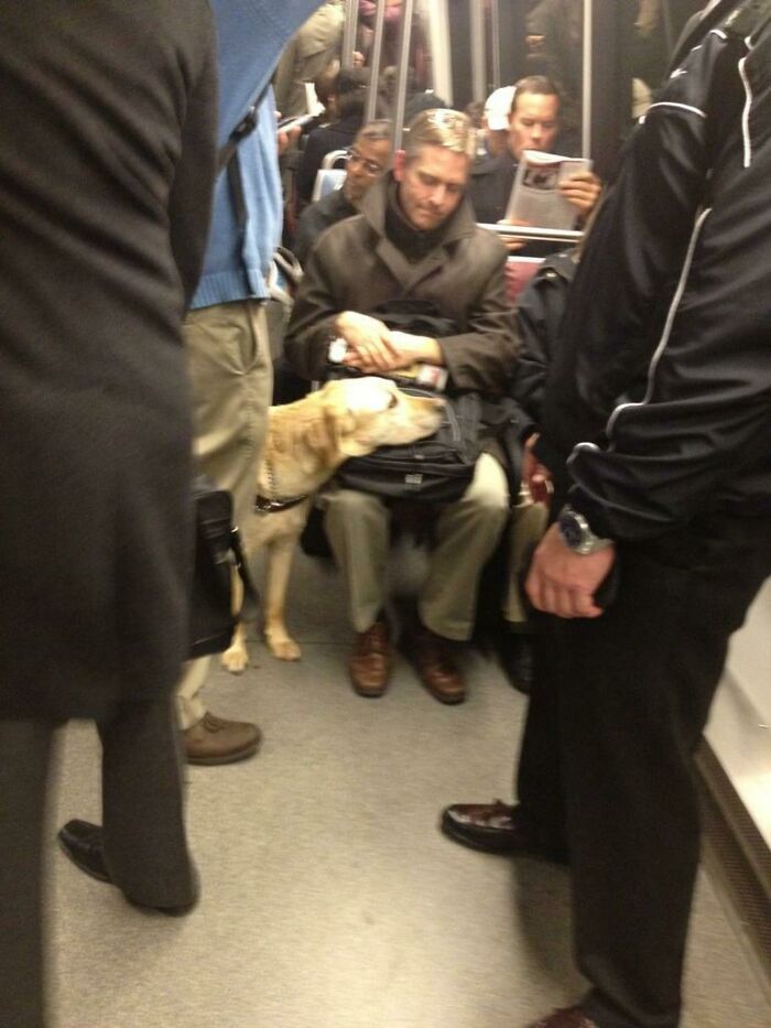Seeing Eye Dog Rests His Head On The Metro