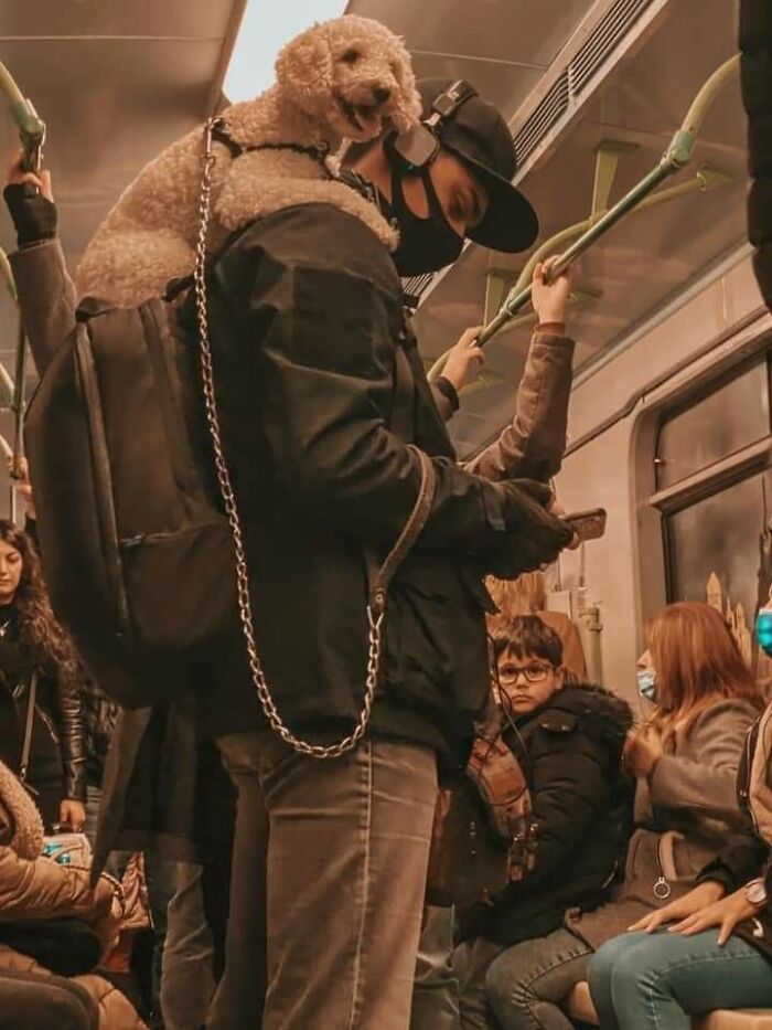 Armenian Metro Be Like