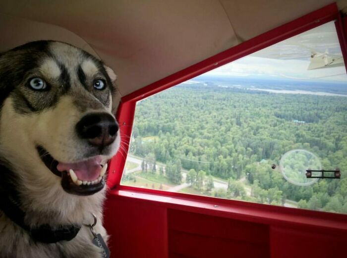 Enjoying The Alaskan Summer Via Floatplane With This Guy