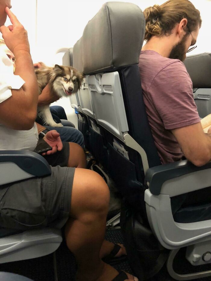 This Weird Looking Guy Staring At Me On The Plane