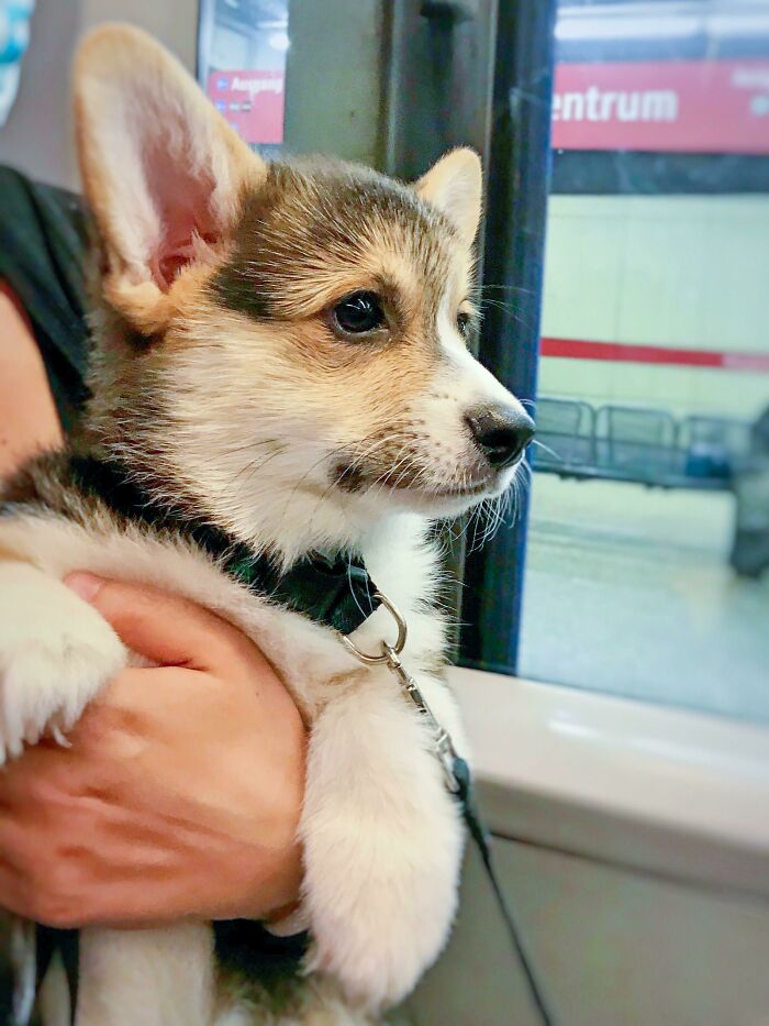 My First Subway Ride