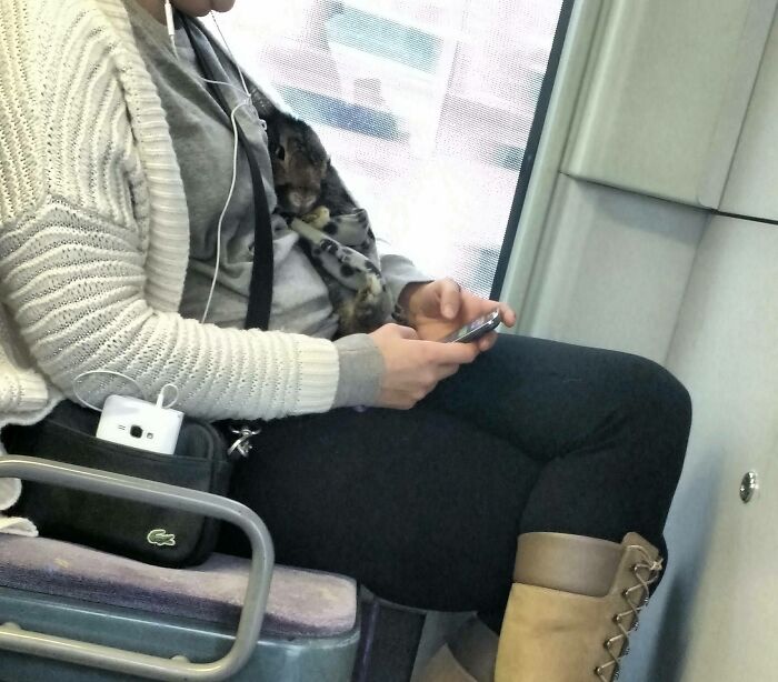 This Woman Is Taking Her Rabbit For A Ride On The Subway