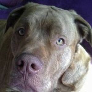 j_m_williams52 avatar