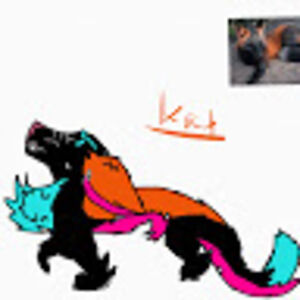 kaylamcclintock avatar