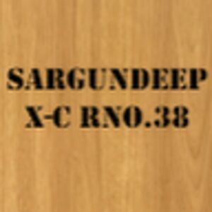 sargundeepsingh_2 avatar