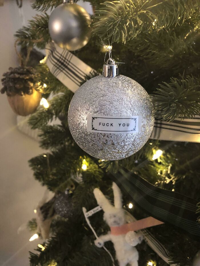 I Sneak This Ornament Onto My Wife’s Meticulously Decorated Tree Every Christmas... She Has Yet To Notice In 3 Years