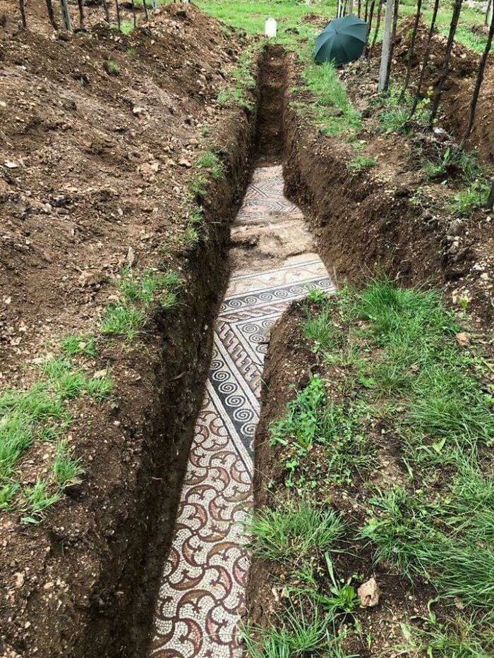 Mosaics Of A Roman Villa Were Found Under A Vineyard In Negrar, Italy