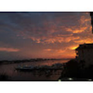 madelyngreene avatar