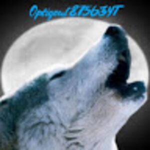 bobbytarpein-valdez avatar