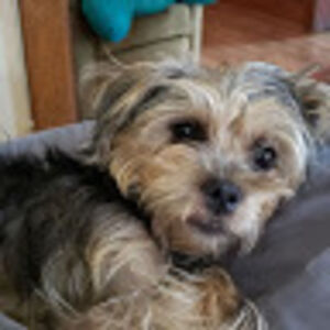 hollyluther_1 avatar