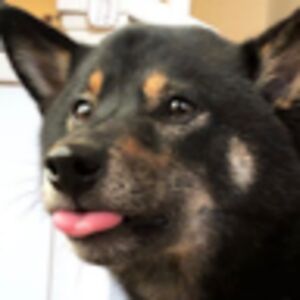 juleighamills avatar