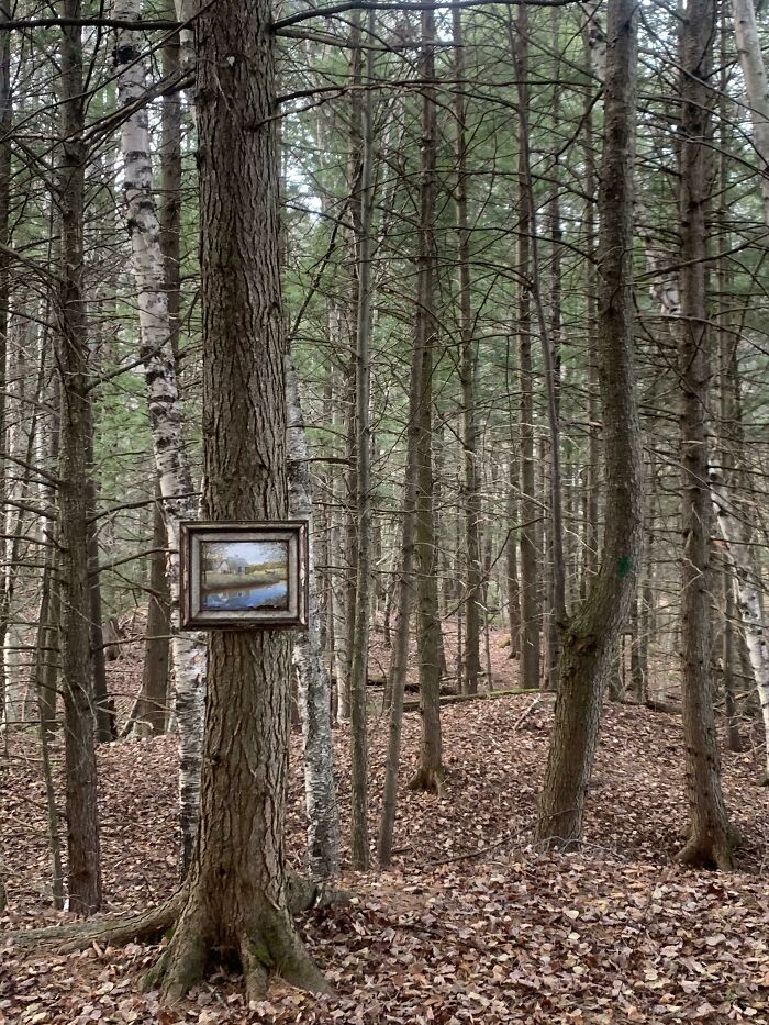Found A Random Painting In The Middle Of The Woods