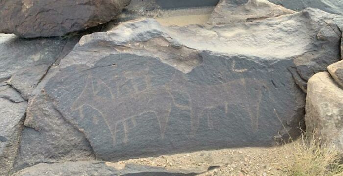 Found This While Taking A Walk