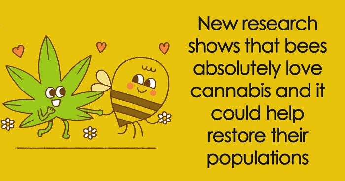 2020 Was A Hard Year, So This Man Illustrated The 40 Best News Of The Year To Outweigh The Negativity