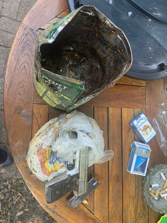 Found This In Our Back Yard While Planting A Tree