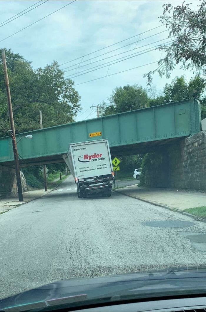 Mt Airy Philadelphia Just This Morning