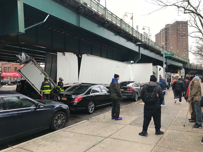 Really Committed To Making It (Bronx)