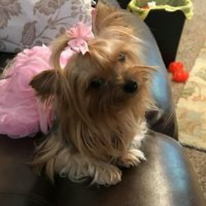 glenda_milliken avatar