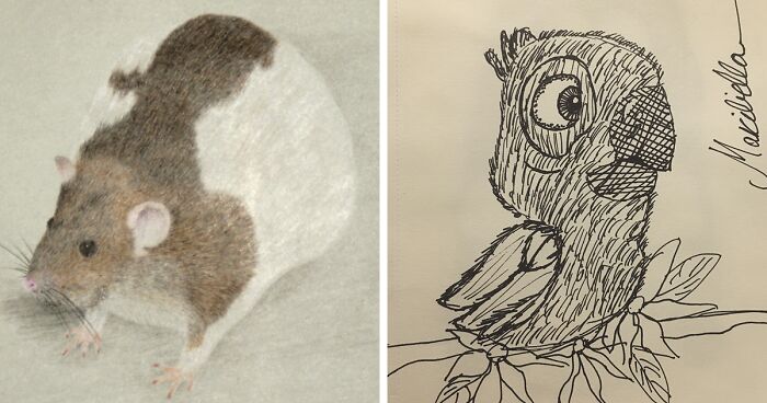 Hey Pandas, Post A Drawing Of Your Favorite Animal That You Drew (Closed)