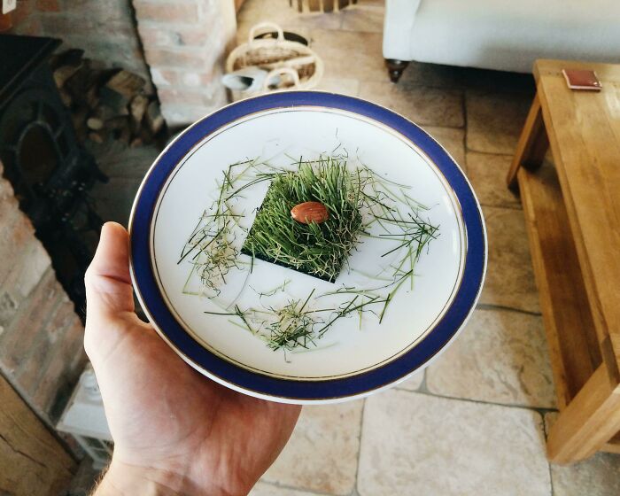 So Glad My Family Took My First Christmas As A Vegetarian Seriously